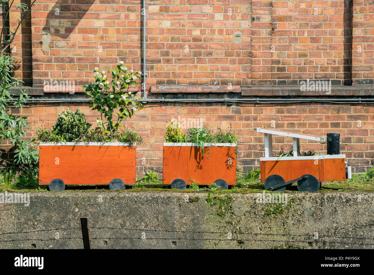 Cute zug Form Pflanzen in Acton Town, Vereinigtes Königreich Stockfoto
