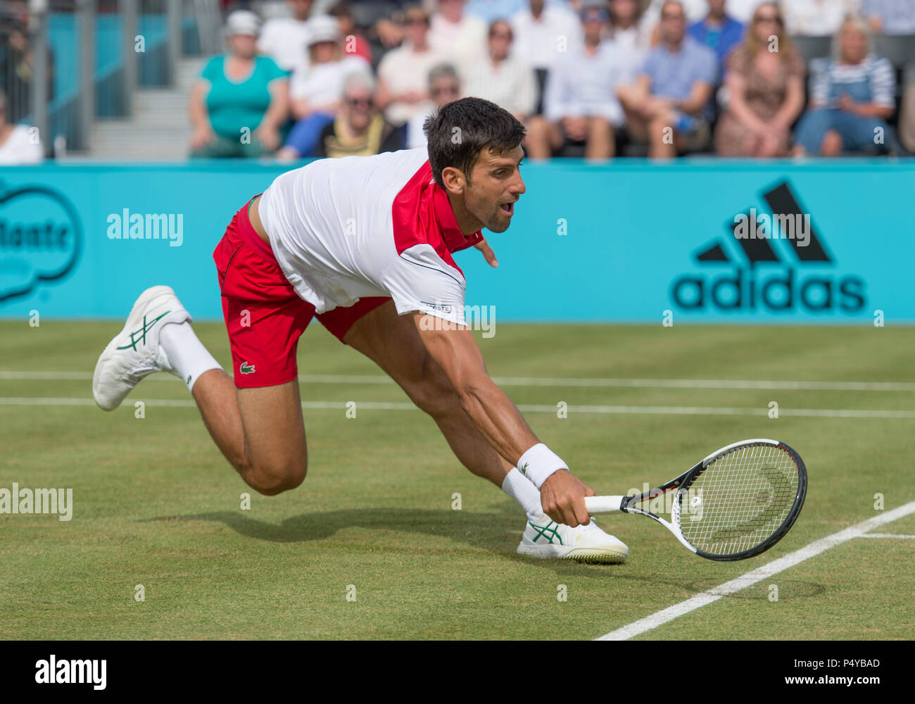 Die Queen's Club, London, Großbritannien. 23. Juni, 2018. Fieber Baum Meisterschaften Tag 6 Halbfinale auf dem Center Court. 12 mal Grand Slam Champion Novak Djokovic (SRB) rutscht auf dem Gras, bevor er sein Spiel gegen Jeremy Chardy (FRA) das Finale gegen Marin Cilic eingeben. Credit: Malcolm Park/Alamy Leben Nachrichten. Stockfoto