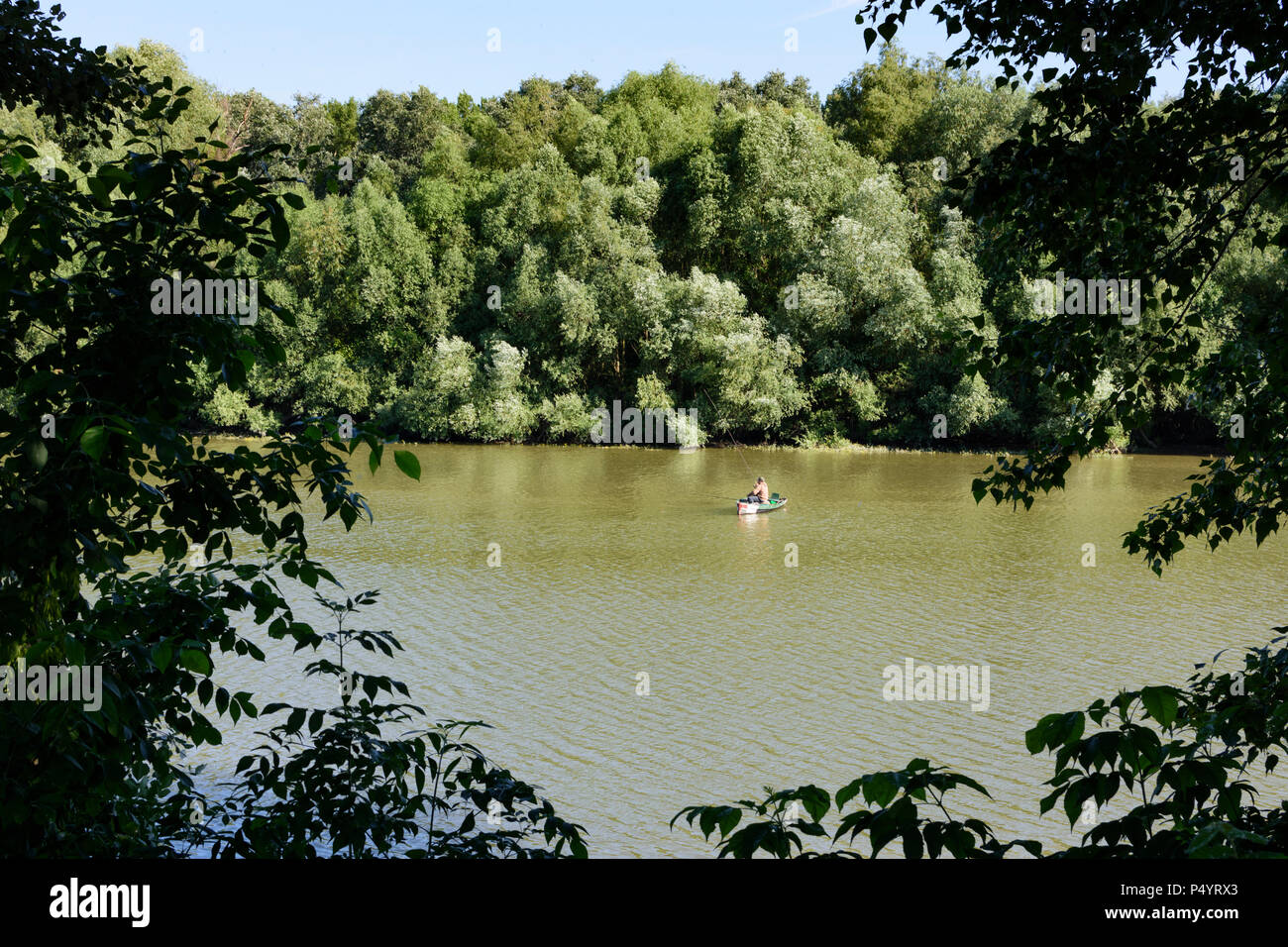 Esztergom (Gran): Angler am Altarm der Donau in Ungarn, Komarom-Esztergom, Stockfoto