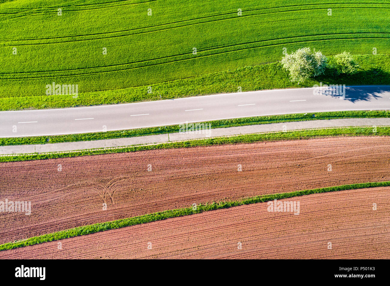 Deutschland, Baden-Württemberg, Schwäbisch Fränkischer Wald, Rems-Murr-Kreis, gepflügte Feld und Straße Stockfoto
