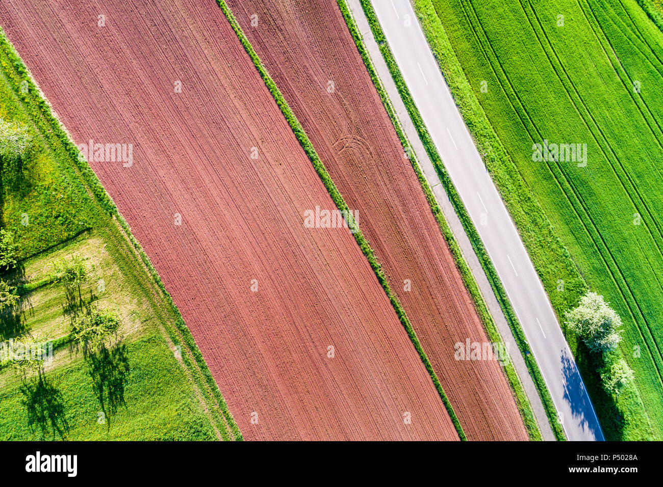 Deutschland, Baden-Württemberg, Schwäbisch Fränkischer Wald, Rems-Murr-Kreis, gepflügte Feld und Straße Stockfoto
