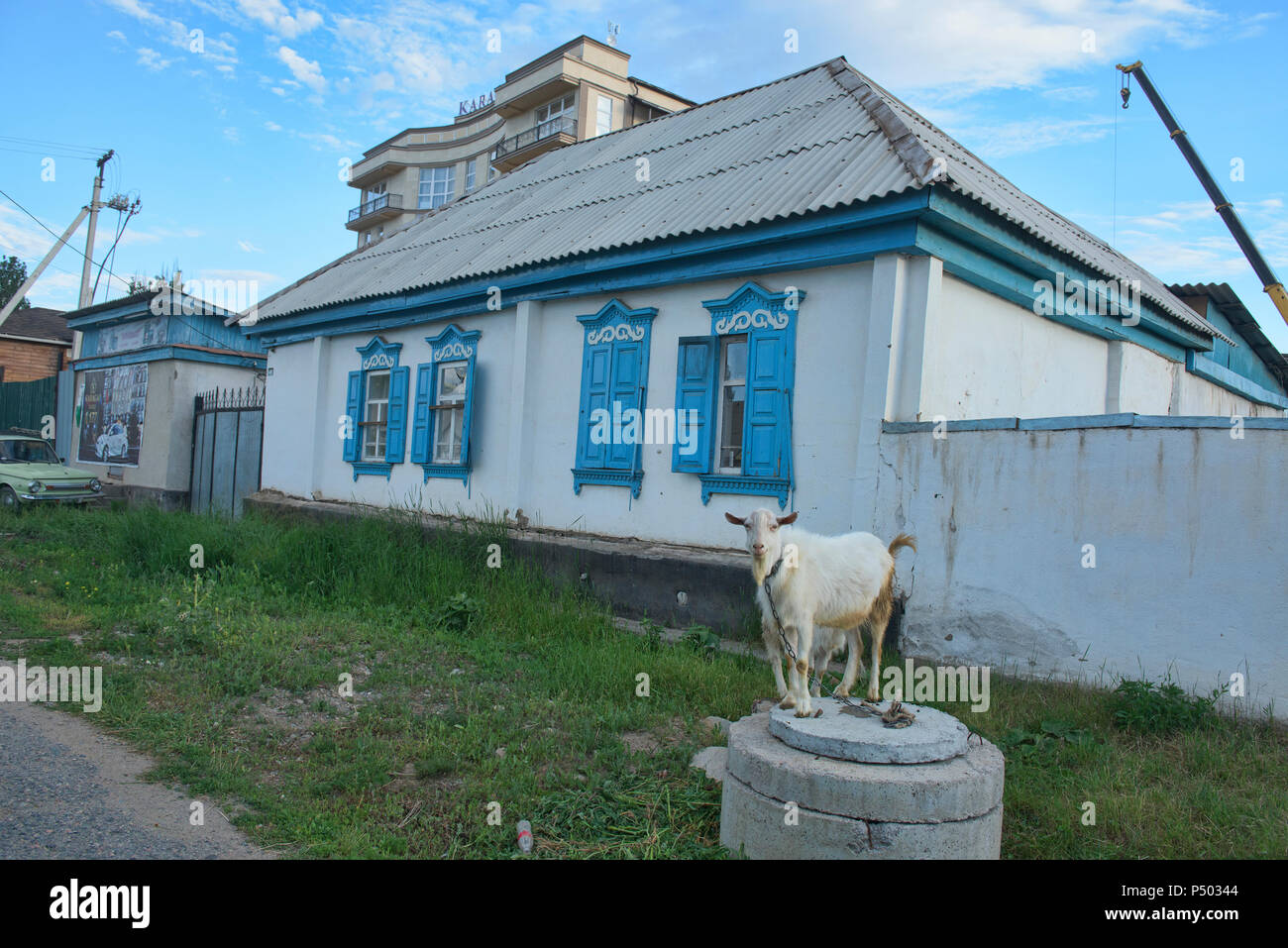 Typisch russischen Home mit Ziegen außerhalb, Karakol, Kirgisistan Stockfoto