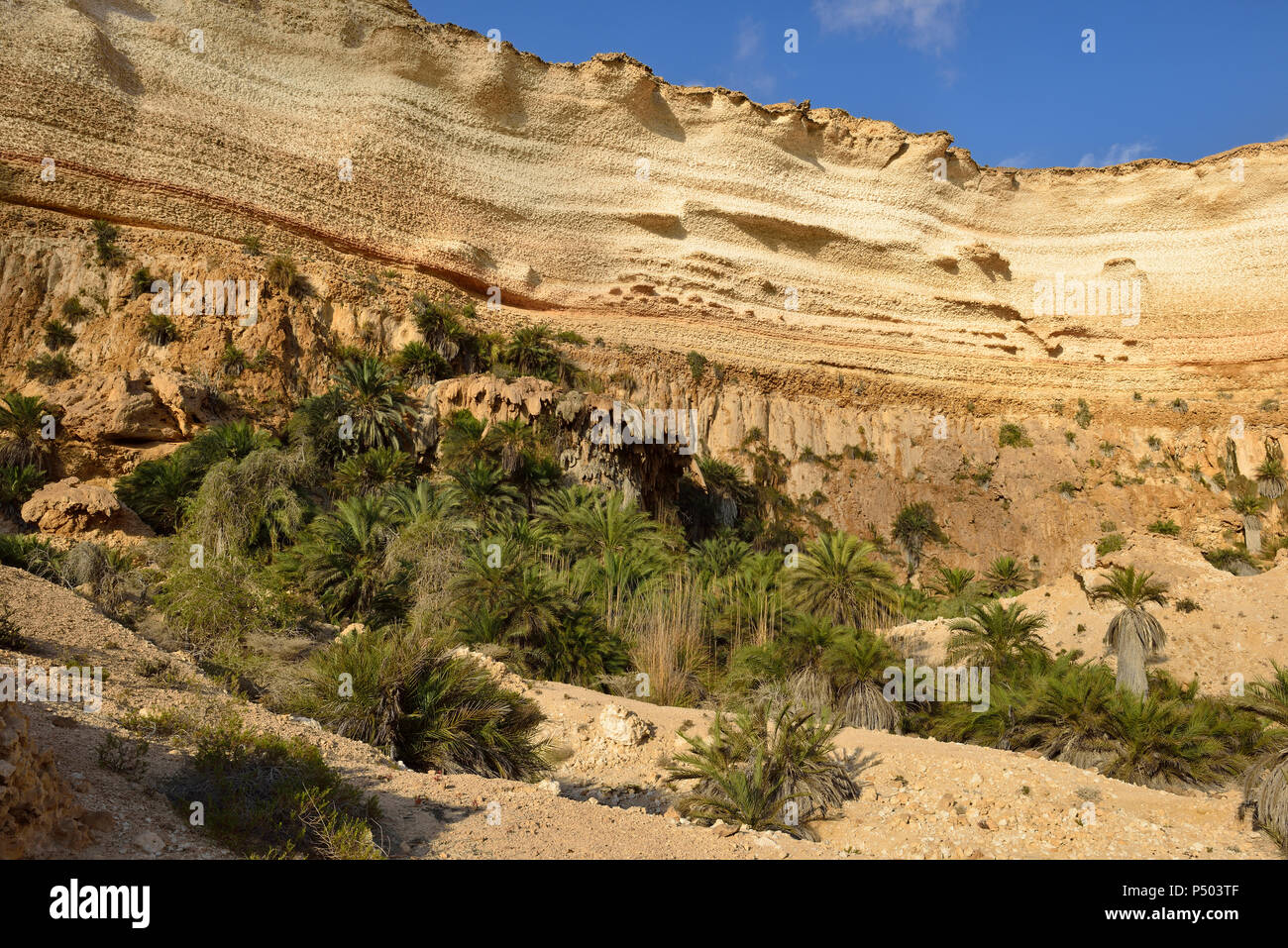 Oman und Dhofar, Kalkstein Schlucht des Wadi Shuwaymiyah Stockfoto