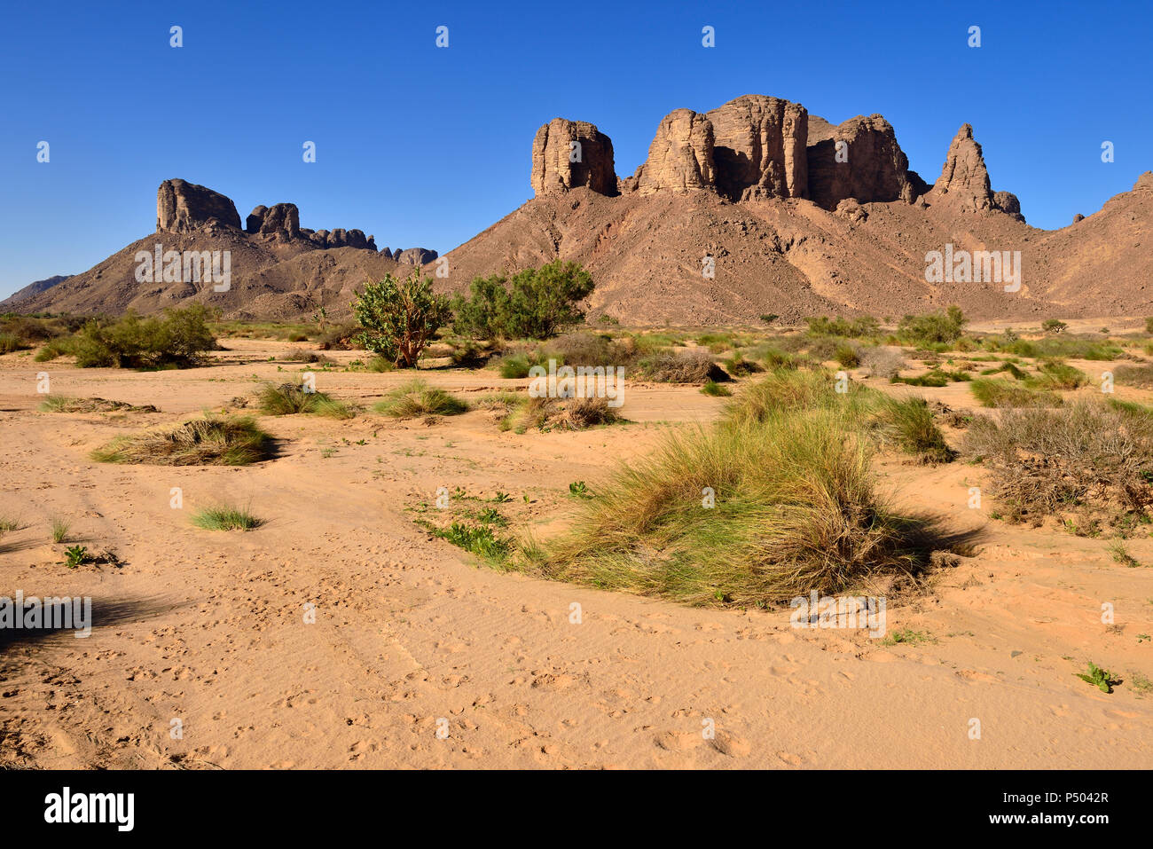 Algerien, Tassili N'Ajjer Nationalpark Oued, Wadi Essendilene Stockfoto