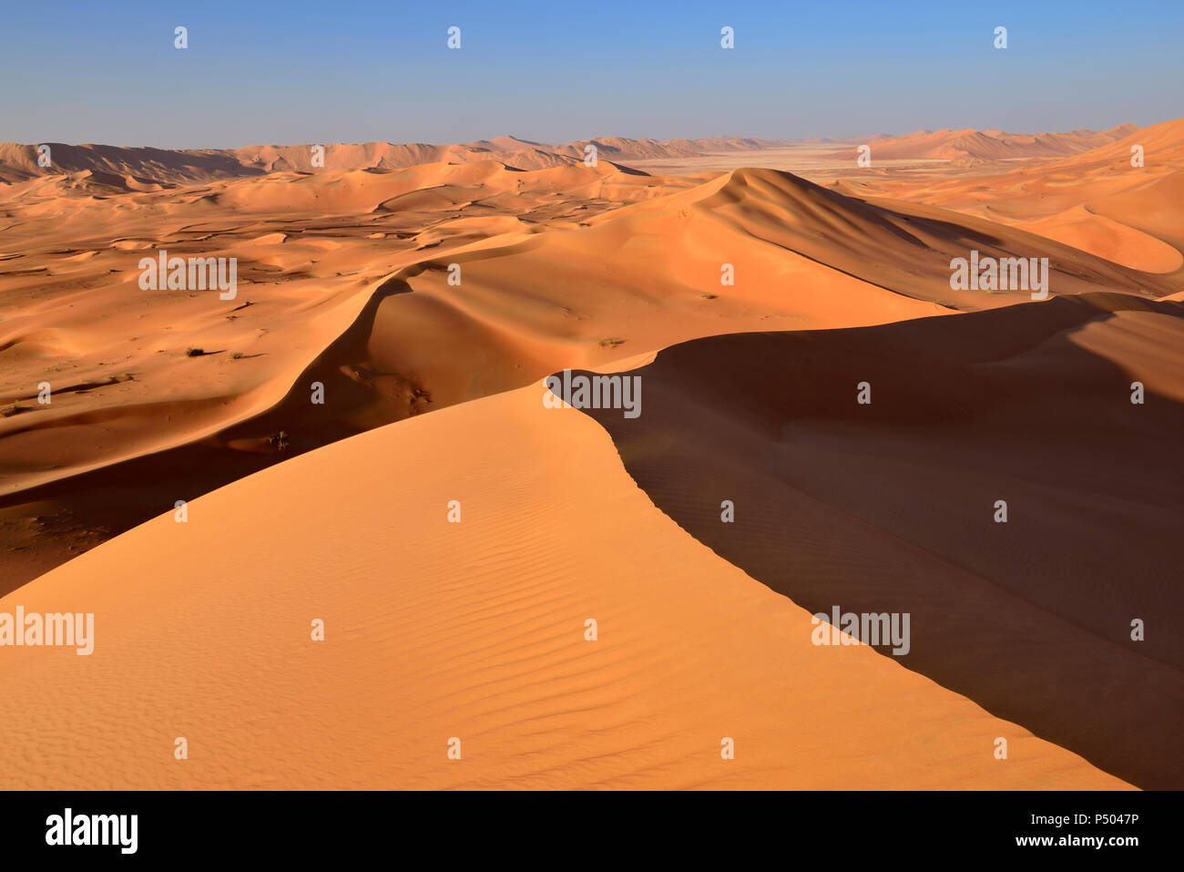 Oman und Dhofar, Sanddünen der Rub al Khali Wüste Stockfoto