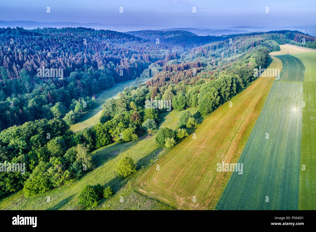 Deutschland, Baden-Württemberg, Rems-Murr-Kreis, Schwäbisch Fränkischer Wald, Luftaufnahme von Wald und Felder Stockfoto
