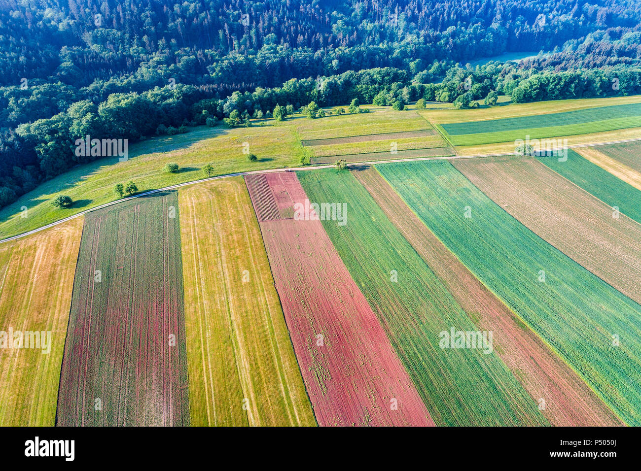 Deutschland, Baden-Württemberg, Rems-Murr-Kreis, Schwäbisch Fränkischer Wald, Luftaufnahme von Feldern Stockfoto