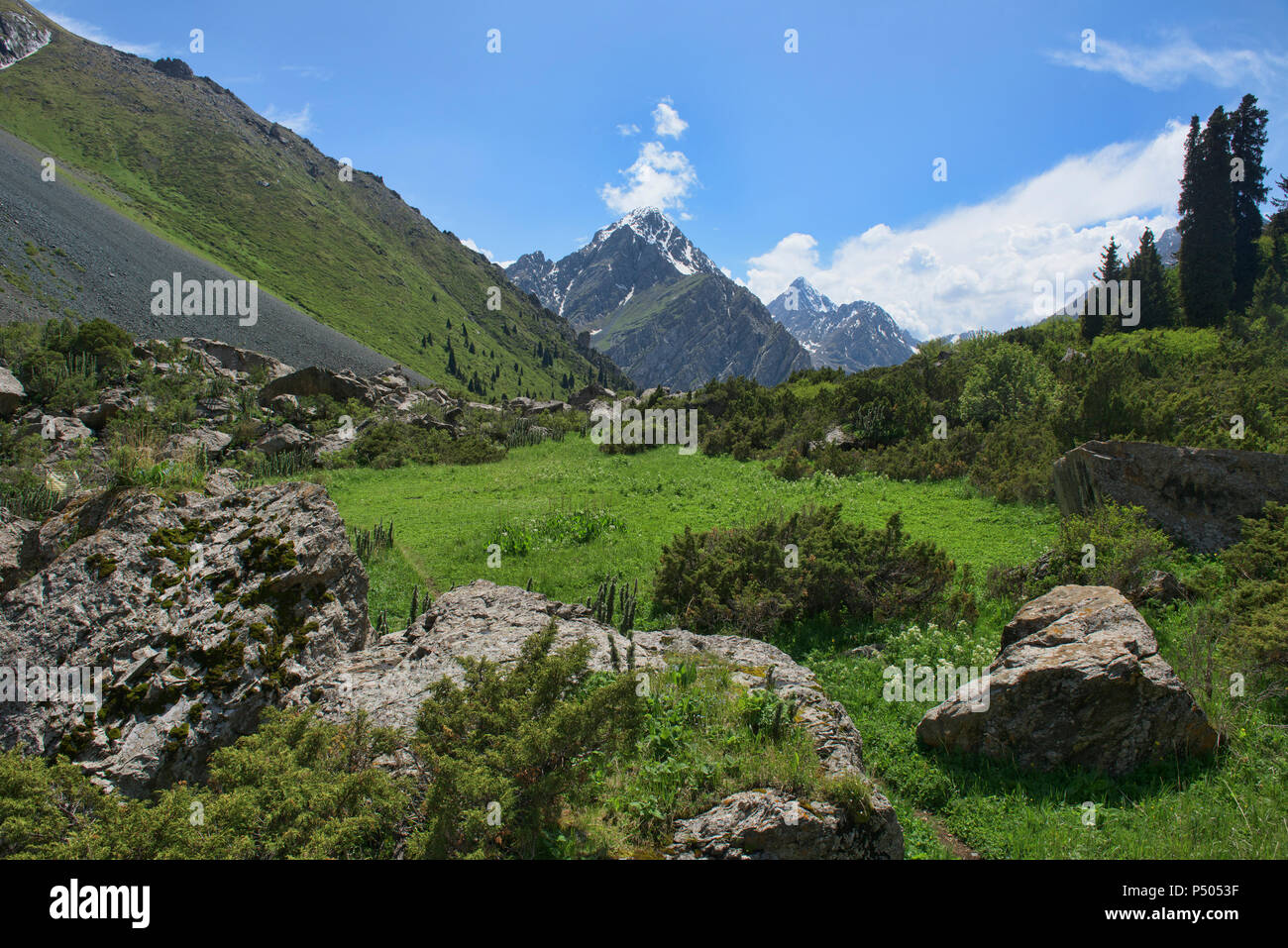 Wunderschöne alpine Landschaft in den Tian Shan Gebirge, Karakol, Kirgisistan Stockfoto