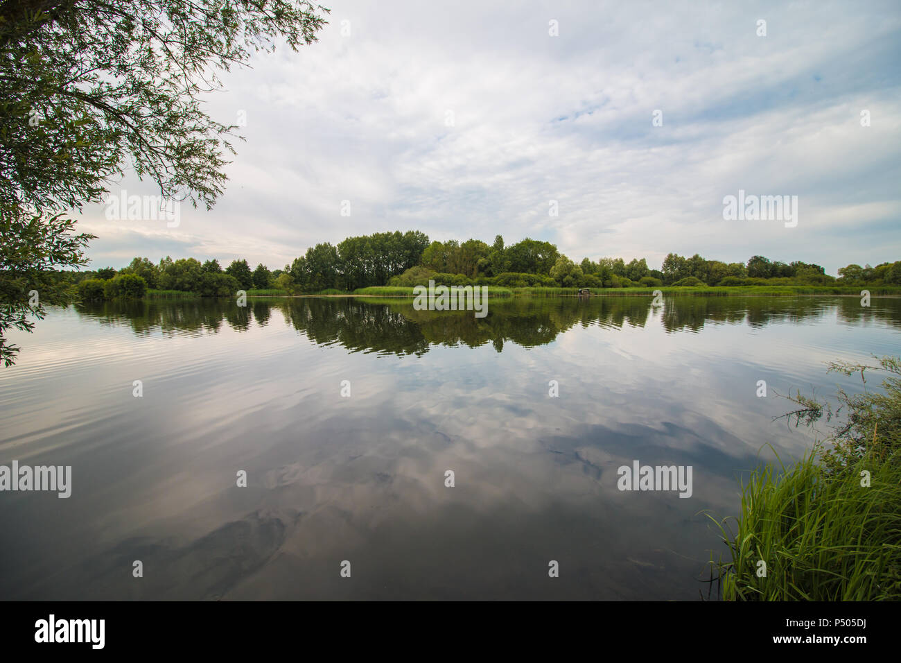 Valenciennes Wald und See Stockfoto