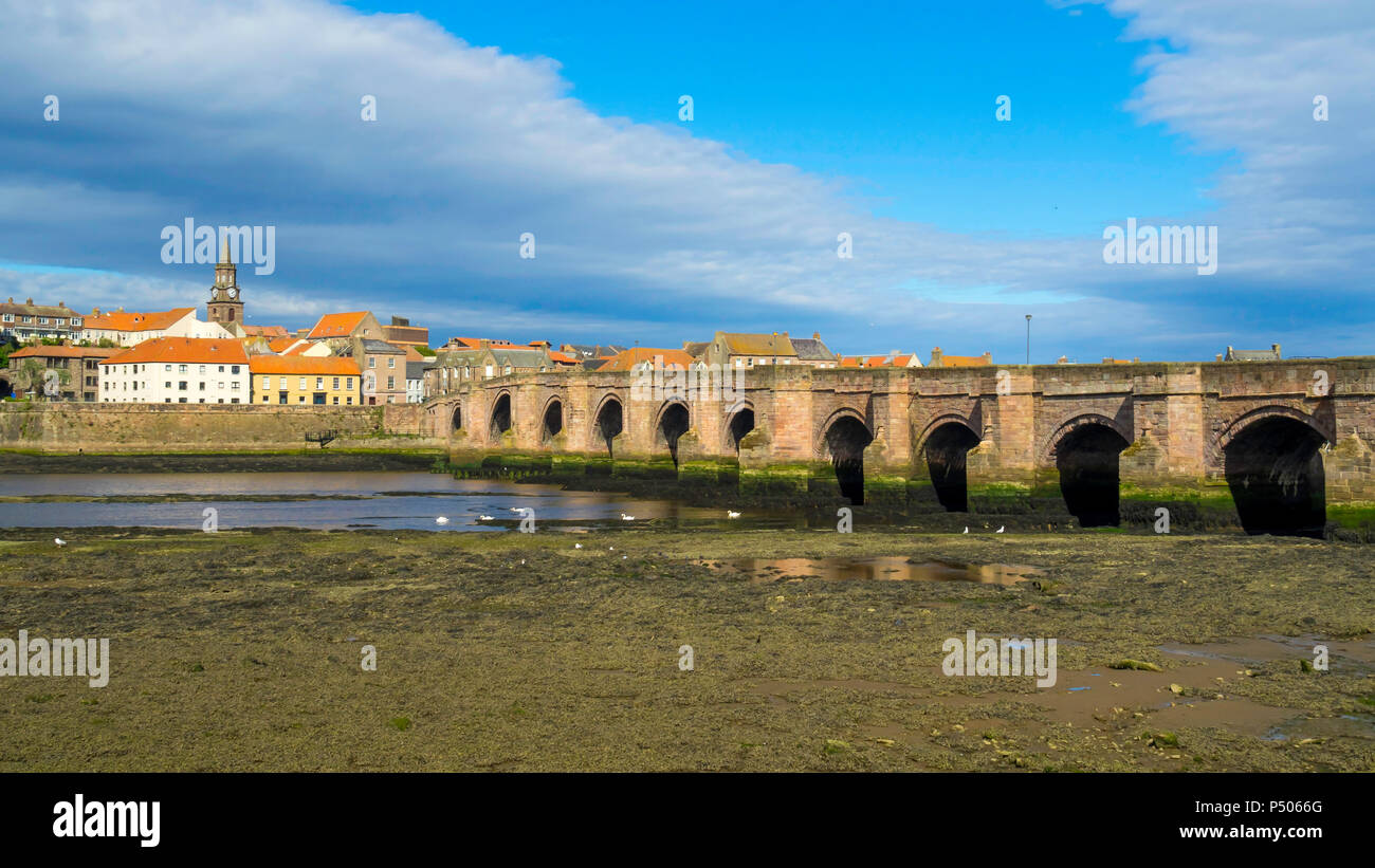 Berwick On Tweed gesehen von der Südseite des Flusses, mit dem Uhrturm auf das Rathaus von 1761 und die alte Straße Brücke von 1624 Stockfoto