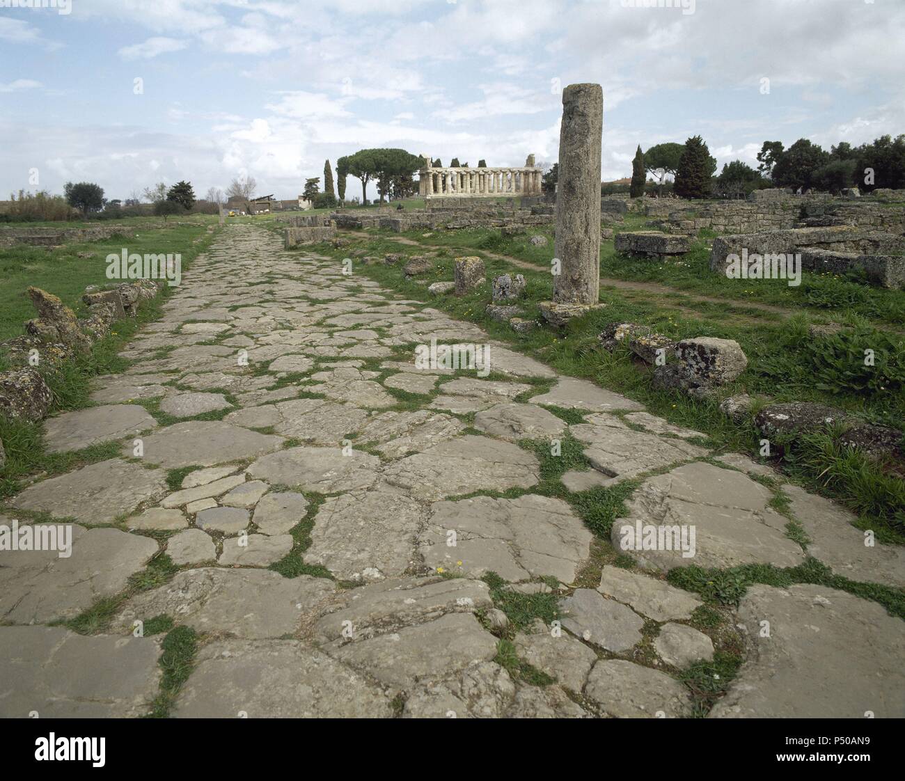 Paestum. "Römerstraße" und im Hintergrund, der Tempel der Athene, 6. Jh.V.Chr. Stockfoto