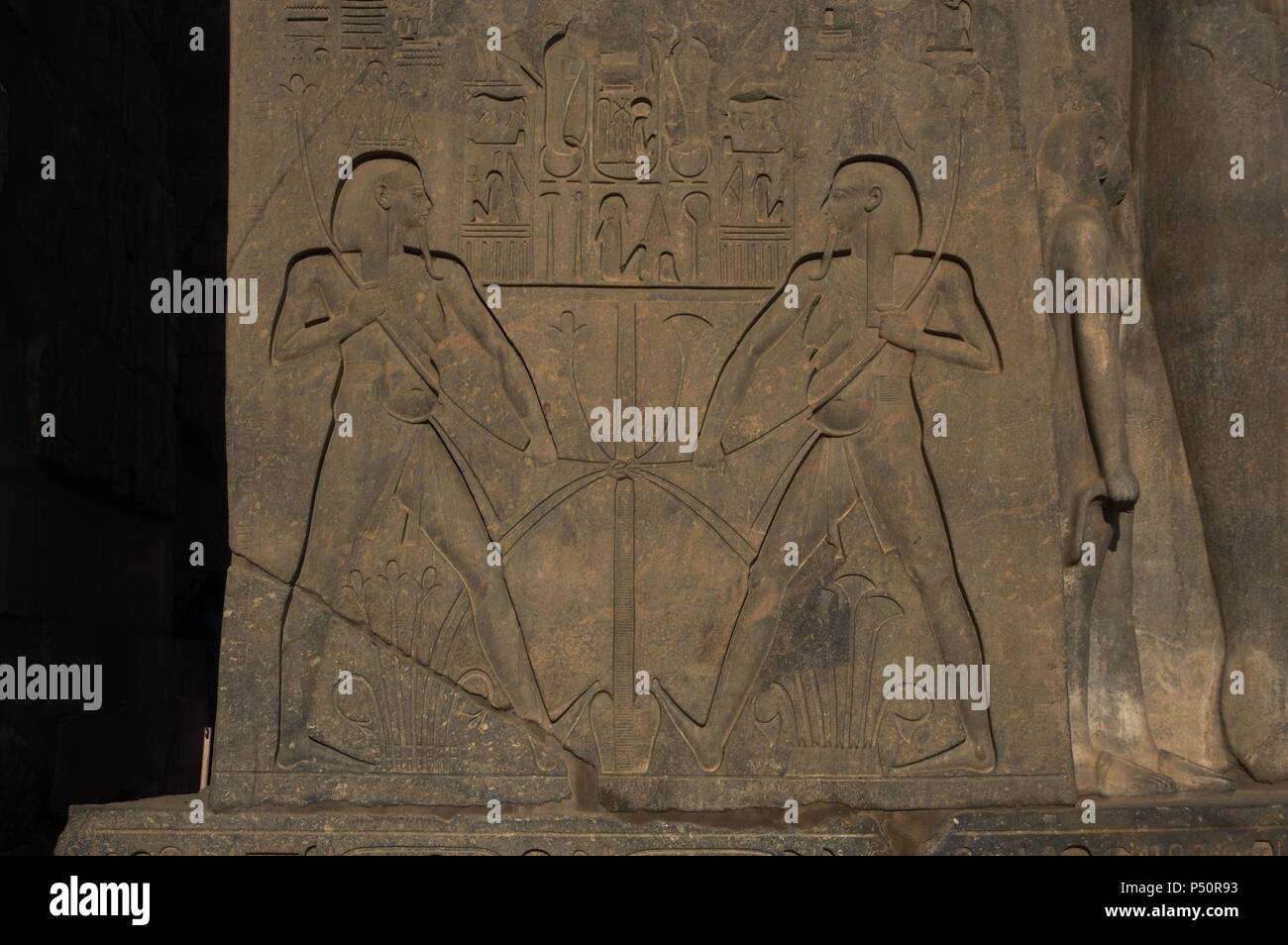 Relief mit der Darstellung der Union zwischen der oberen Ägypten (Schilf) und Unterägypten (Papyrus). Sockel der Statue von Ramses II. vor dem Tempel von Luxor. Im XIX Dynastie datiert. Neuen Reich. Ägypten. Stockfoto