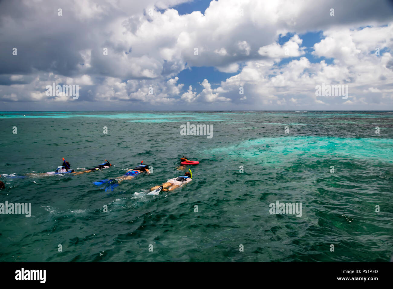 Taucher schwimmen zu einem Korallenriff in der Karibik Stockfoto