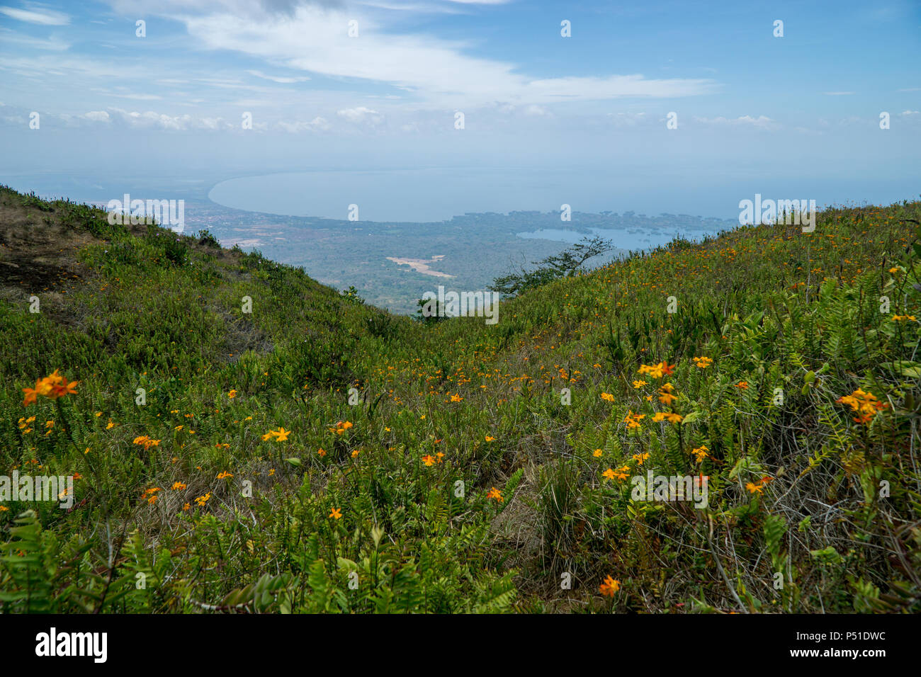 Hang mit Blumen, die zum Blick auf den Nicaragua See und den Granada Inseln im Regenwald des Mombacho Vulkan in Nicaragua. Stockfoto