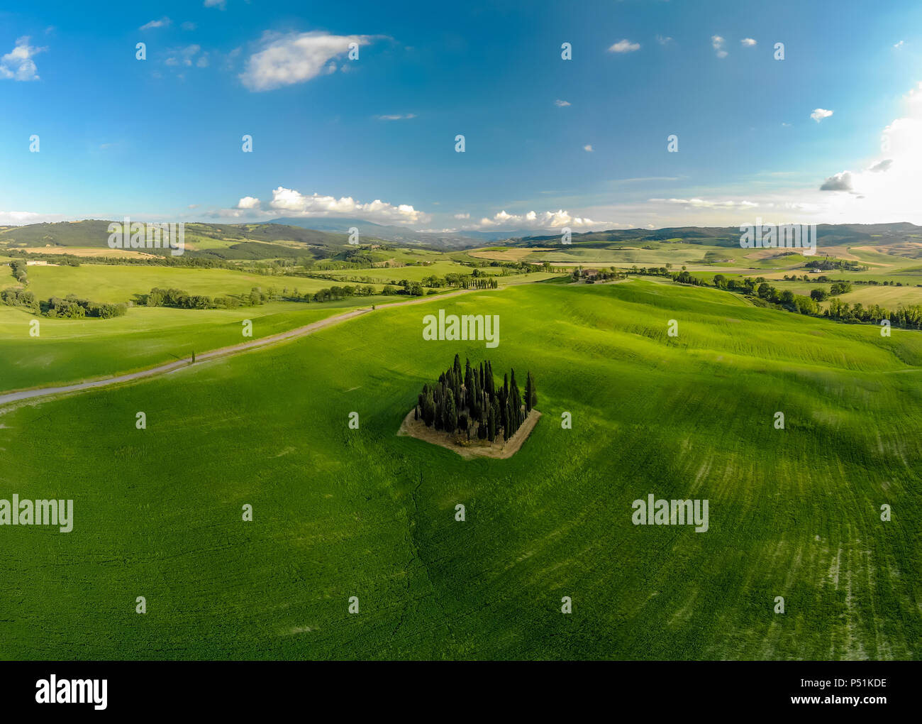 Die schöne Landschaft der Toskana in Italien - Gruppe der italienischen Zypressen in der Nähe von San Quirico d'Orcia - Luftbild - Val d'Orcia, Toskana, Italien Stockfoto