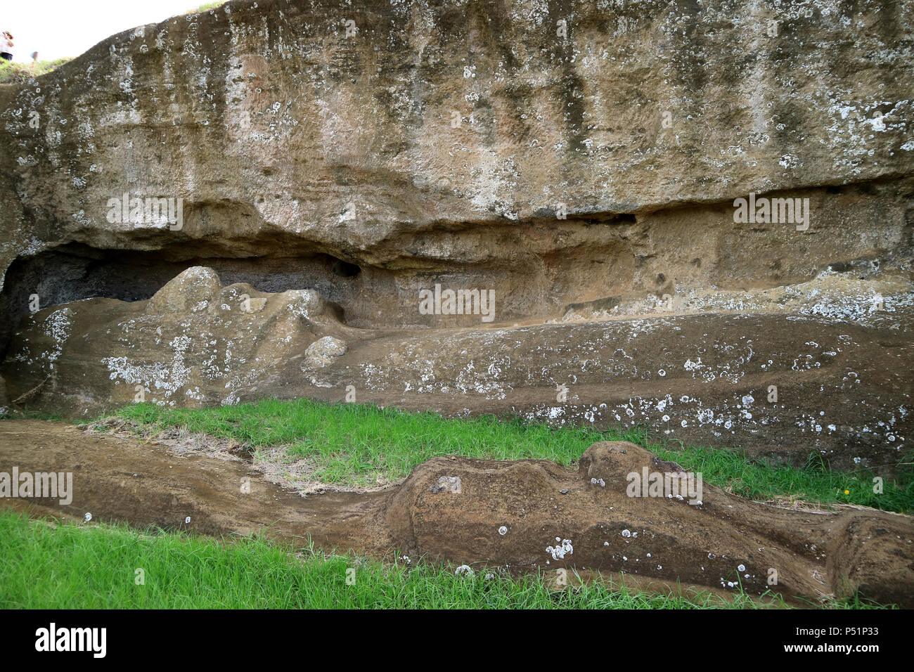 Zwei unvollendete Riese Moai Statuen bei Rano Raraku, archäologische Stätte auf der Osterinsel Chiles, UNESCO Weltkulturerbe Stockfoto