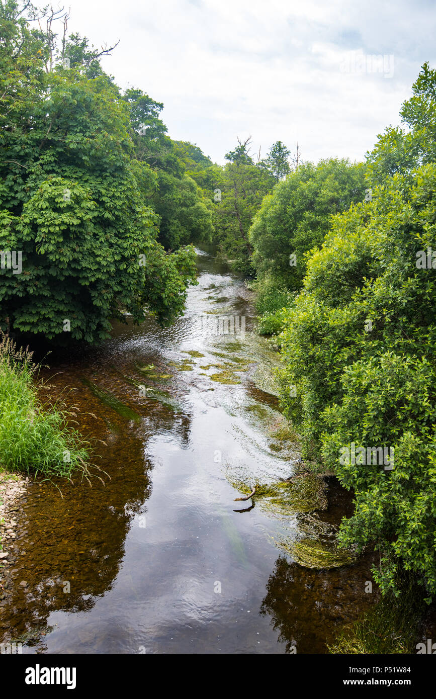 Blick nach Süden entlang des Flusses Otter von der Brücke an Otterton, East Devon, Großbritannien. Stockfoto