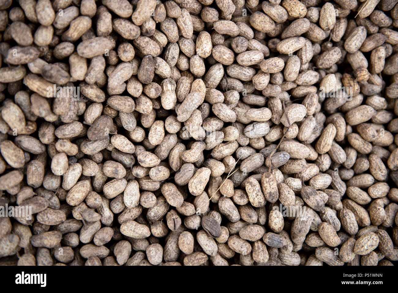 Close-up auf dem geröstete Erdnüsse in der Schale (Arachis hypogaea) am Markt in Yoff, Dakar, Senegal. Stockfoto
