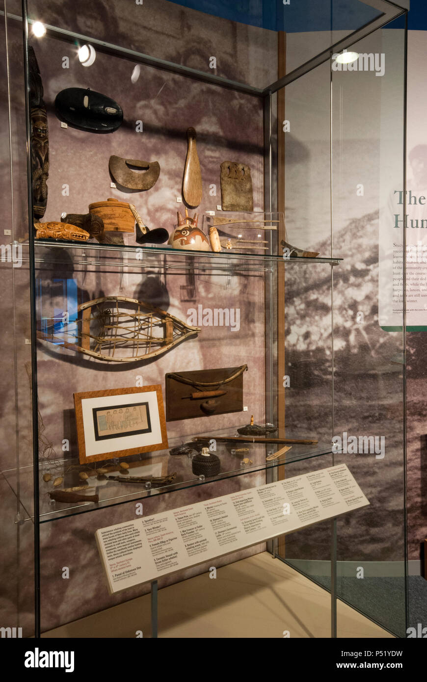 Vitrine mit alten Handwerk Werkzeuge aus Wal Skelett Knochen, New Bedford Whaling Museum, New Bedford, Bristol County, Massachusetts, USA Stockfoto
