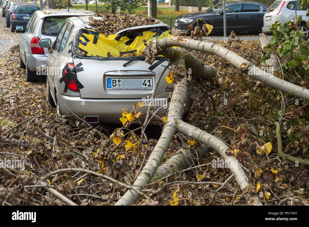 Sturmschäden in Berlin Stockfoto