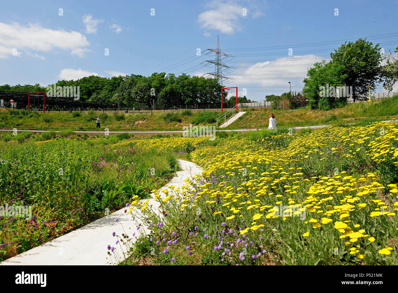 Deutschland, Nordrhein-Westfalen - Bernepark in Bottrop-Ebel Stockfoto