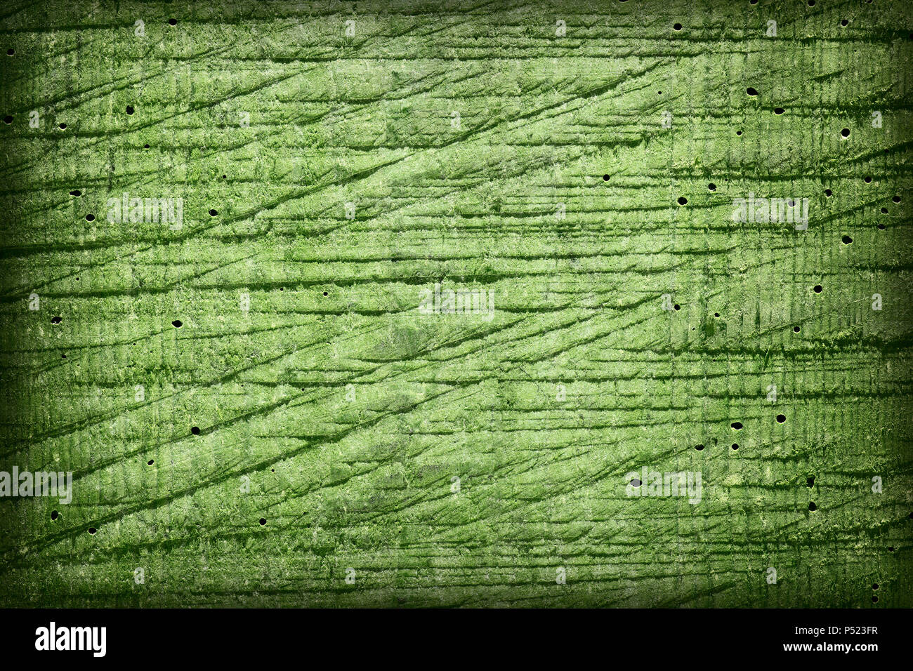 Textur alte Holz Hintergrund, durch Borkenkäfer gebissen. Grüne Farbe. Stockfoto