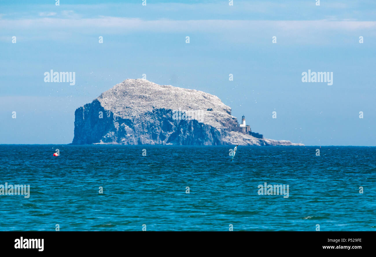 John Muir, East Lothian, Schottland, Großbritannien, 24. Juni 2018. UK Wetter: einen warmen sonnigen Tag während der Hitzewelle im Sommer 2018. Der Bass Rock, Heimat der größten Kolonie von Basstölpel, glitzert in der Sonne wie eine Gannett stürzt ins Meer auf der Suche nach Fisch Stockfoto