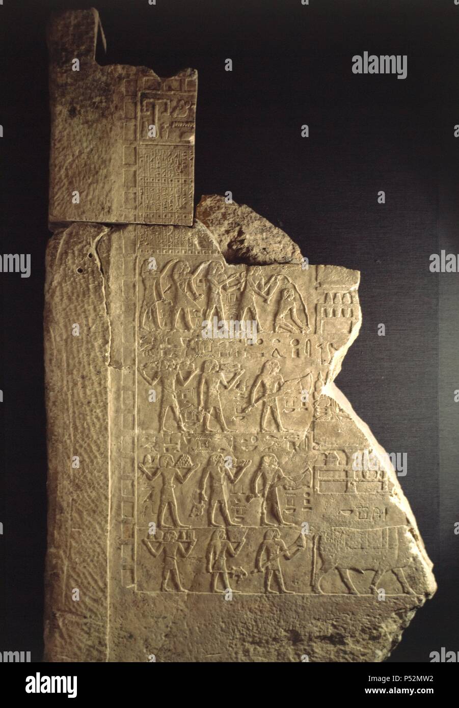Heraklesopolis magna -Fotos und -Bildmaterial in hoher Auflösung – Alamy