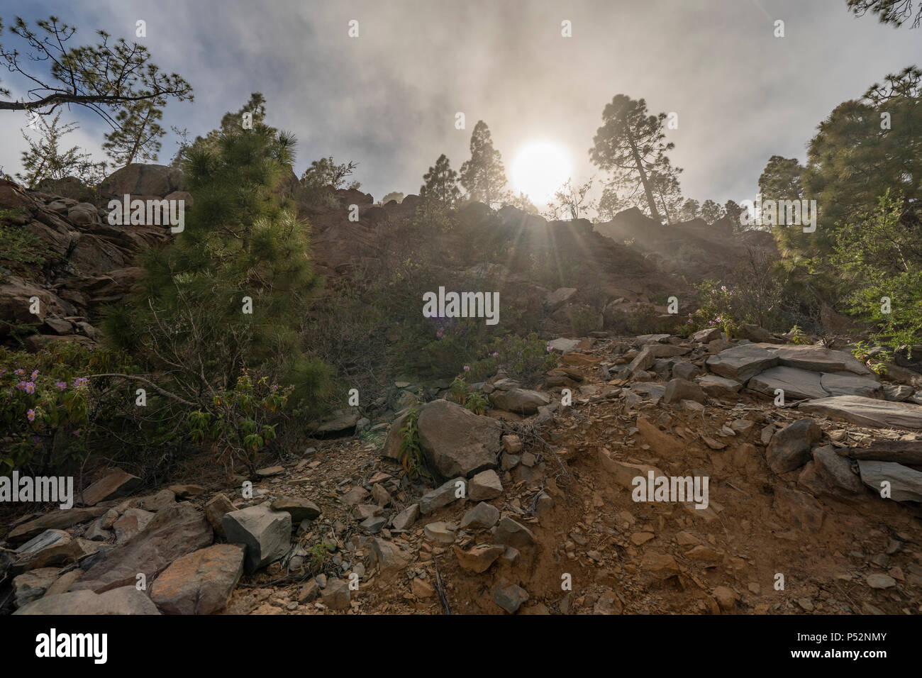 Paisaje Lunar, Teneriffa, Kanarische Inseln Luftaufnahmen der transformierten Landschaft Mondlandschaft (Paisaje Lunar) in Wolken bedeckt. Stockfoto