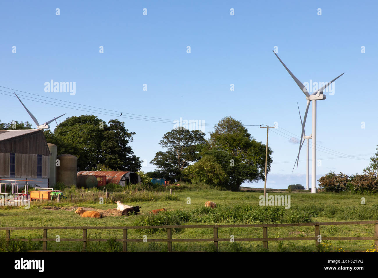 Ein Windpark neben einem traditionellen Bauernhof. Stockfoto