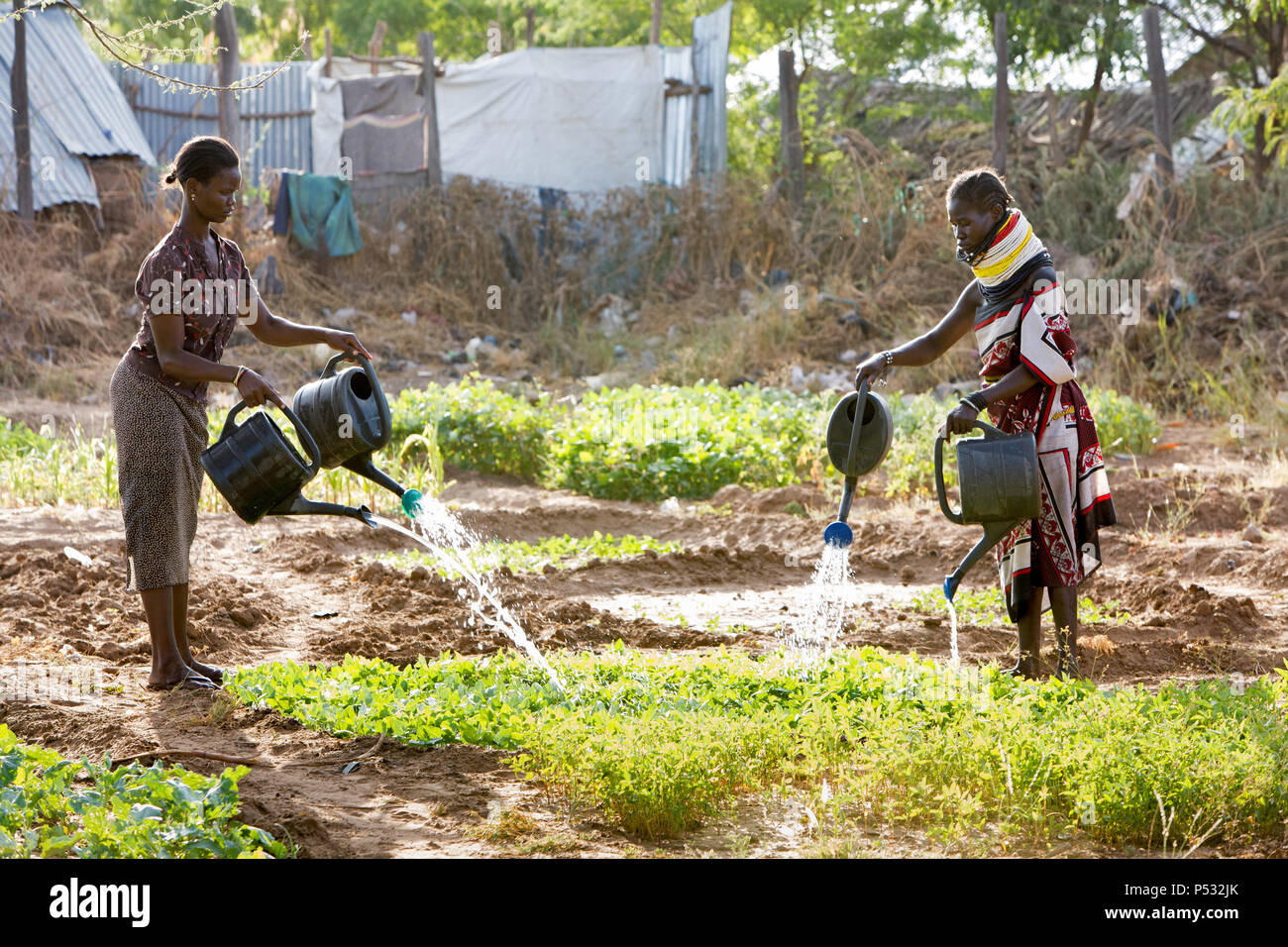Kakuma, Kenia - Gartenarbeit in Kakuma Flüchtlingslager, verwaltet und von der GIZ/UNHCR finanziert. Stockfoto