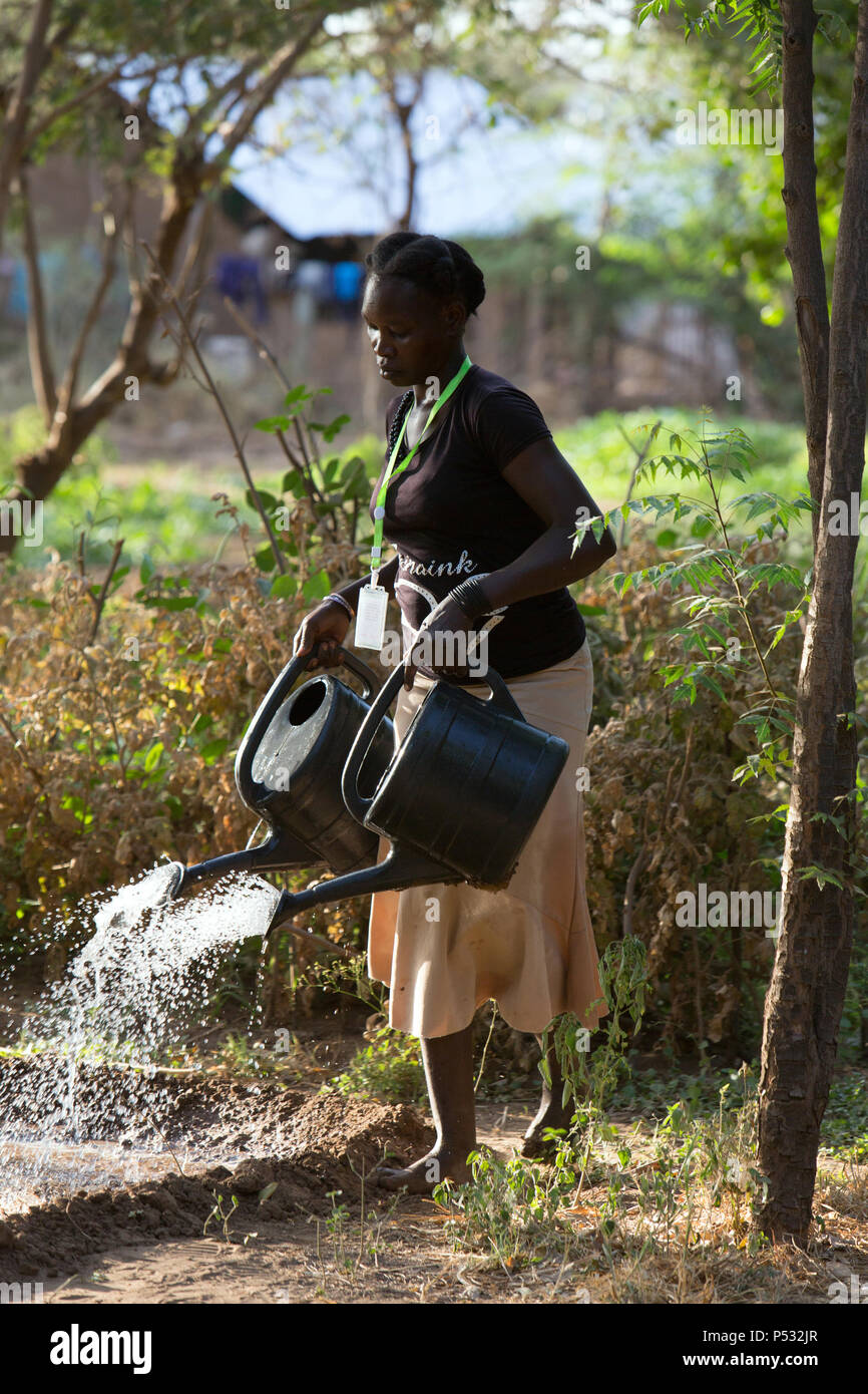 Kakuma, Kenia - Gartenarbeit in Kakuma Flüchtlingslager, verwaltet und von der GIZ/UNHCR finanziert. Stockfoto