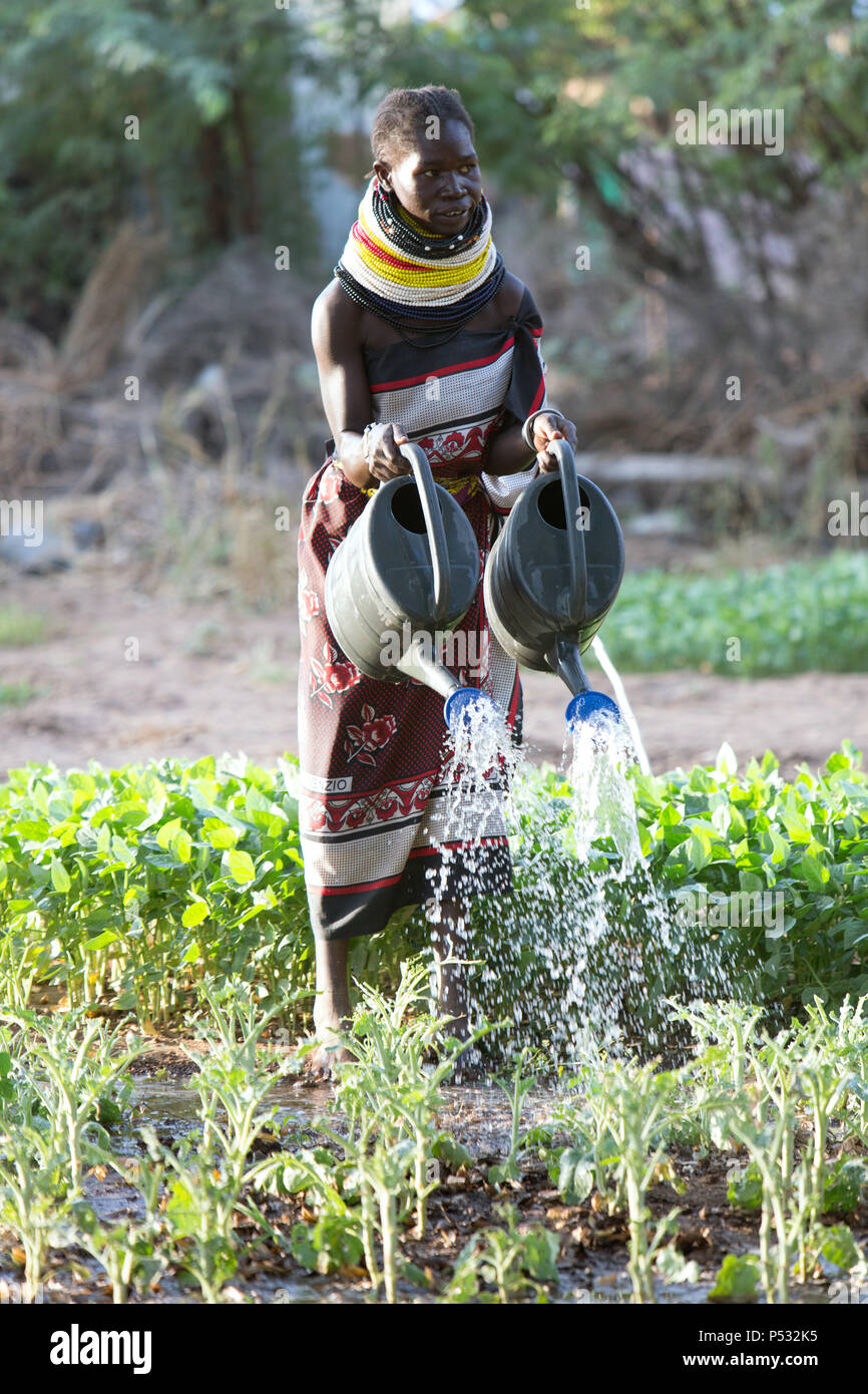 Kakuma, Kenia - Gartenarbeit in Kakuma Flüchtlingslager, verwaltet und von der GIZ/UNHCR finanziert. Stockfoto