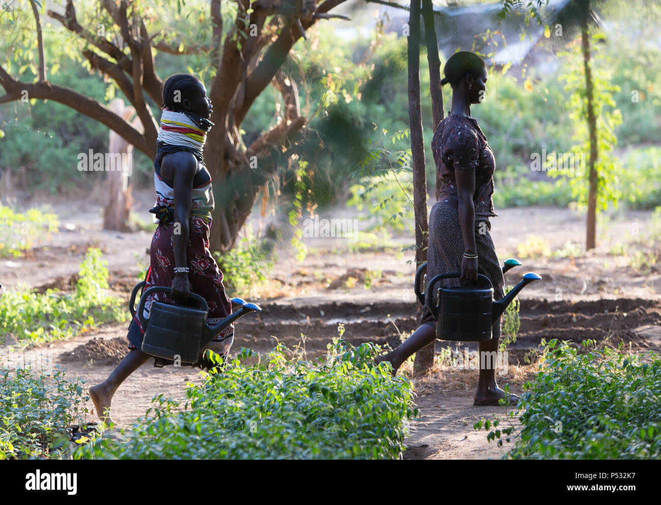 Kakuma, Kenia - Gartenarbeit in Kakuma Flüchtlingslager, verwaltet und von der GIZ/UNHCR finanziert. Stockfoto