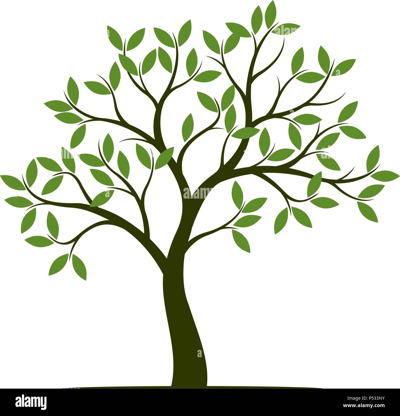 Grüner Sommer Baum mit Blättern. Vector Illustration. Stock Vektor