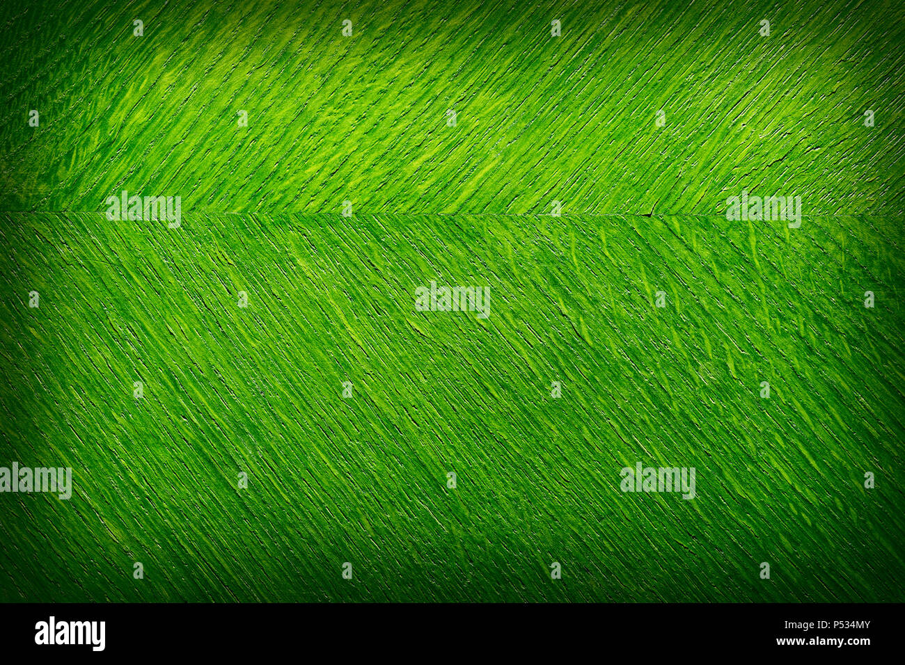 BackgroundsTexture alter furnierter Oberfläche, beschichtet mit Lack. Grüne Farbe. Stockfoto