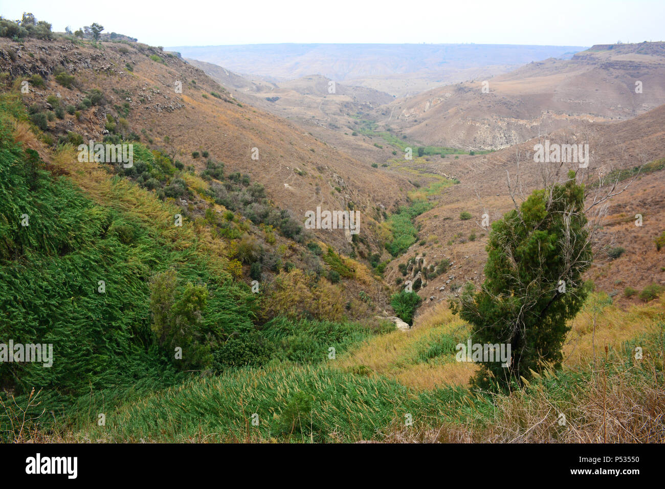 El al wadi in den Golan Höhen, Israel Stockfoto