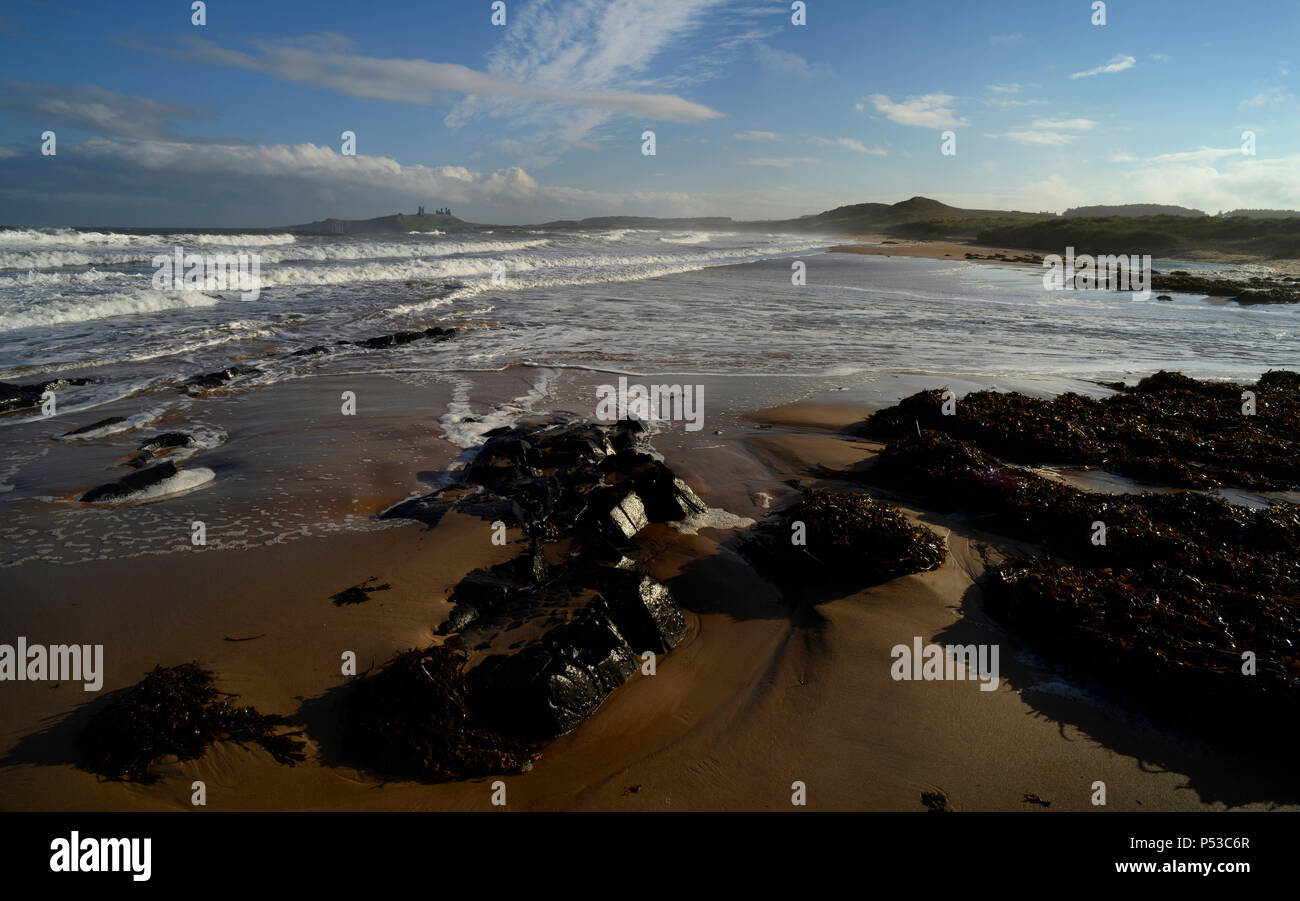 Dunstanburgh Castle von Embleton Strand Stockfoto