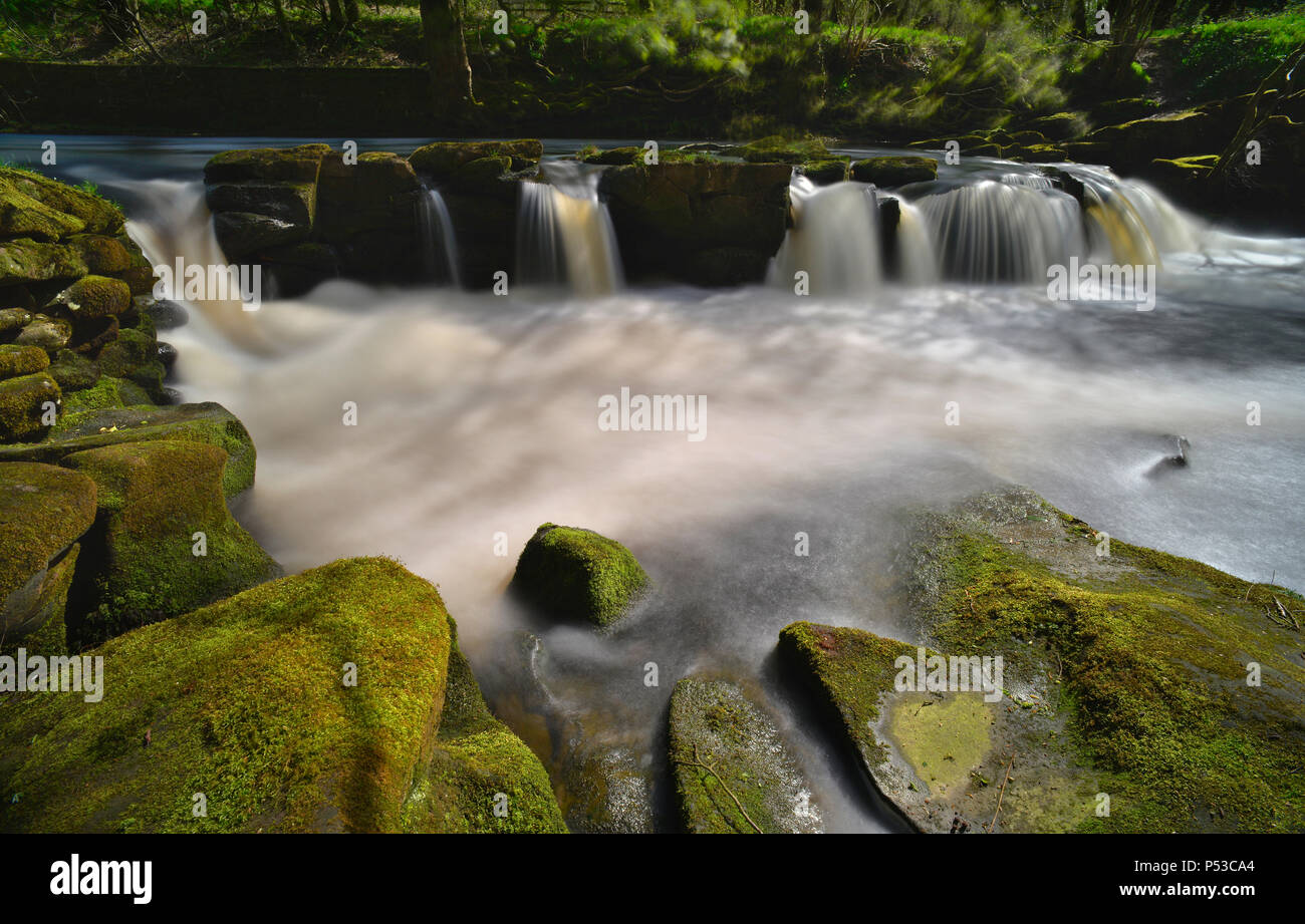 Der Wasserfall im Yorkshire Brücke über den Fluss Derwent (5) Stockfoto
