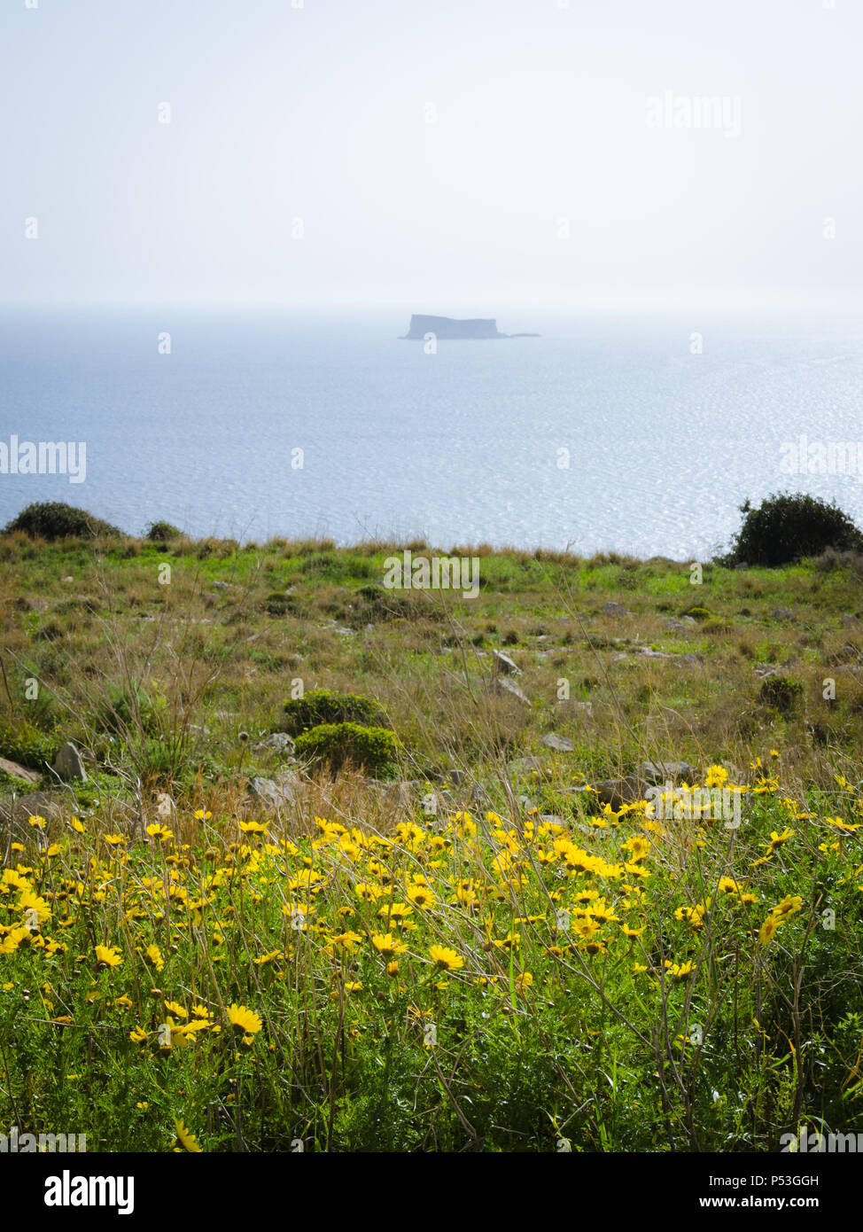 Die isolierte, einsame Insel Filfla in Malta Stockfoto