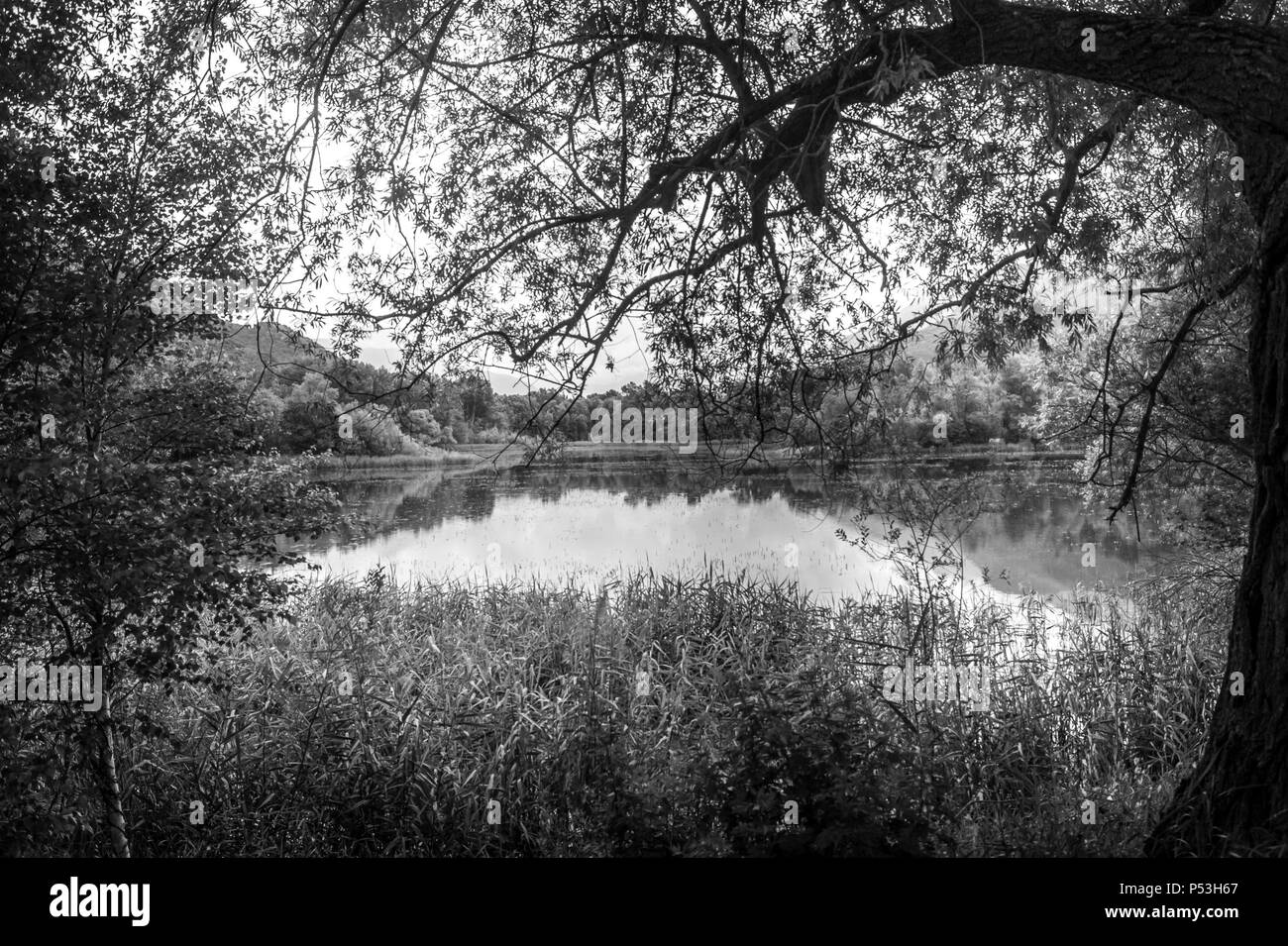 See Panorama Landschaft Stockfoto