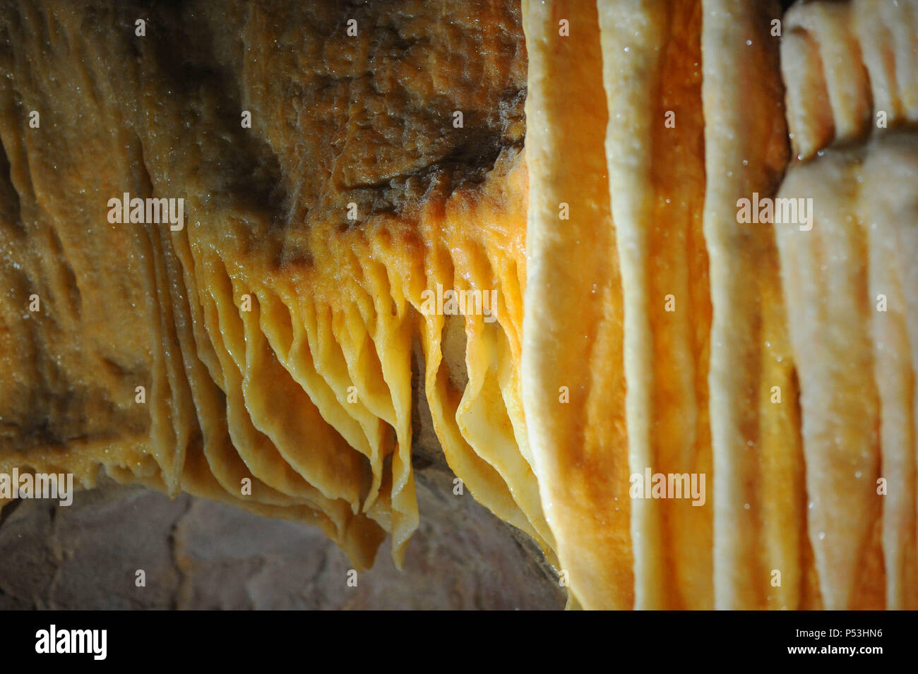 April 8, 2015 - Vallon Pont d'Arc, Frankreich: Besuch der Pont dÕArc Cavern, einer realen Nachbau der Höhle von Chauvet, die verfügt über Dutzende von Kunstwerken und Gemälden von Steinzeit Menschen rund 36.000 Jahren. La Caverne du Pont d'Arc est la replique en Taille reelle de la Grotte Chauvet, un-Website UNESCO Leumund pour ses impressionnants prehistoriques Dessins. Stockfoto