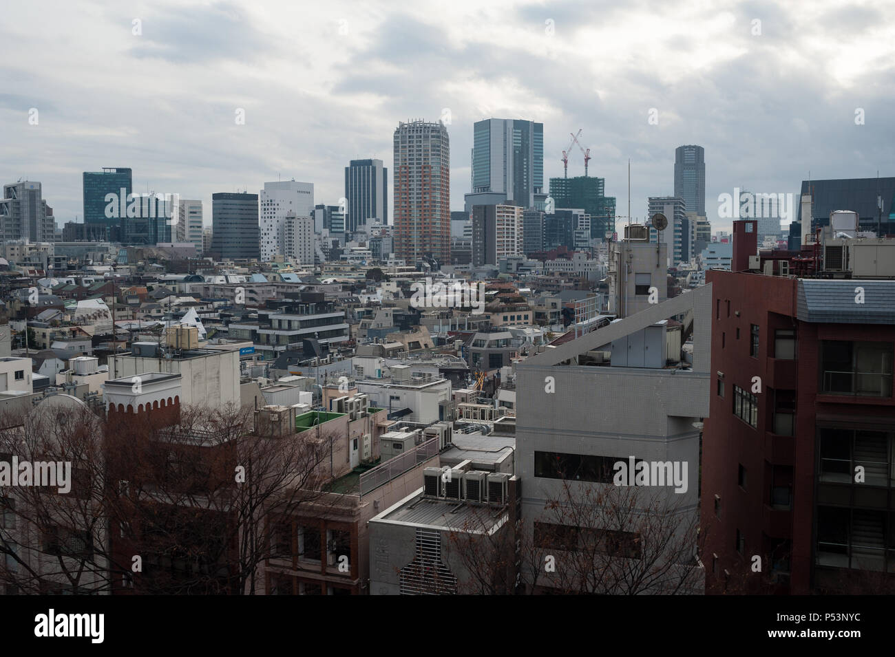 Tokio, Japan, Stadt Panorama von Tokyo Stockfoto