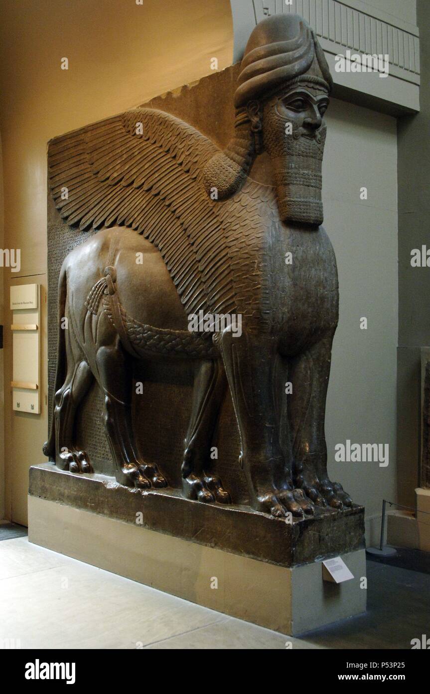 Kolossale Statue von einem geflügelten Löwen mit einem menschlichen Gesicht. 865-860 BC. Von Nordwesten Palast von ASSURNASIRPAL II. Nimrud. British Museum. London. Vereinigtes Königreich. Stockfoto