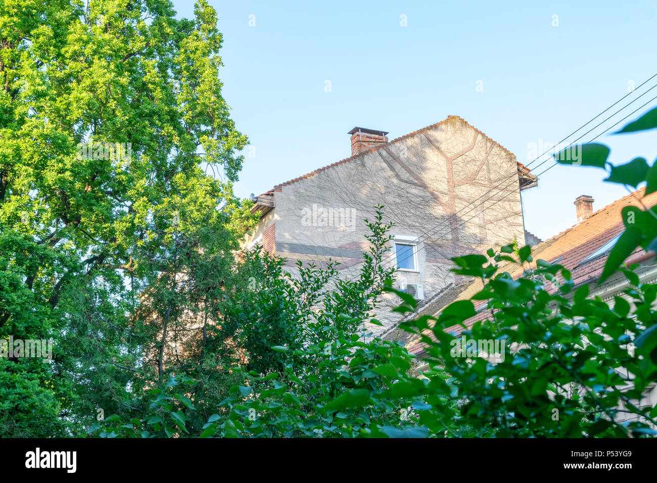 Grünes Wohnen in der Stadt, der städtischen Umwelt Konzept. Oradea, Rumänien. Stockfoto