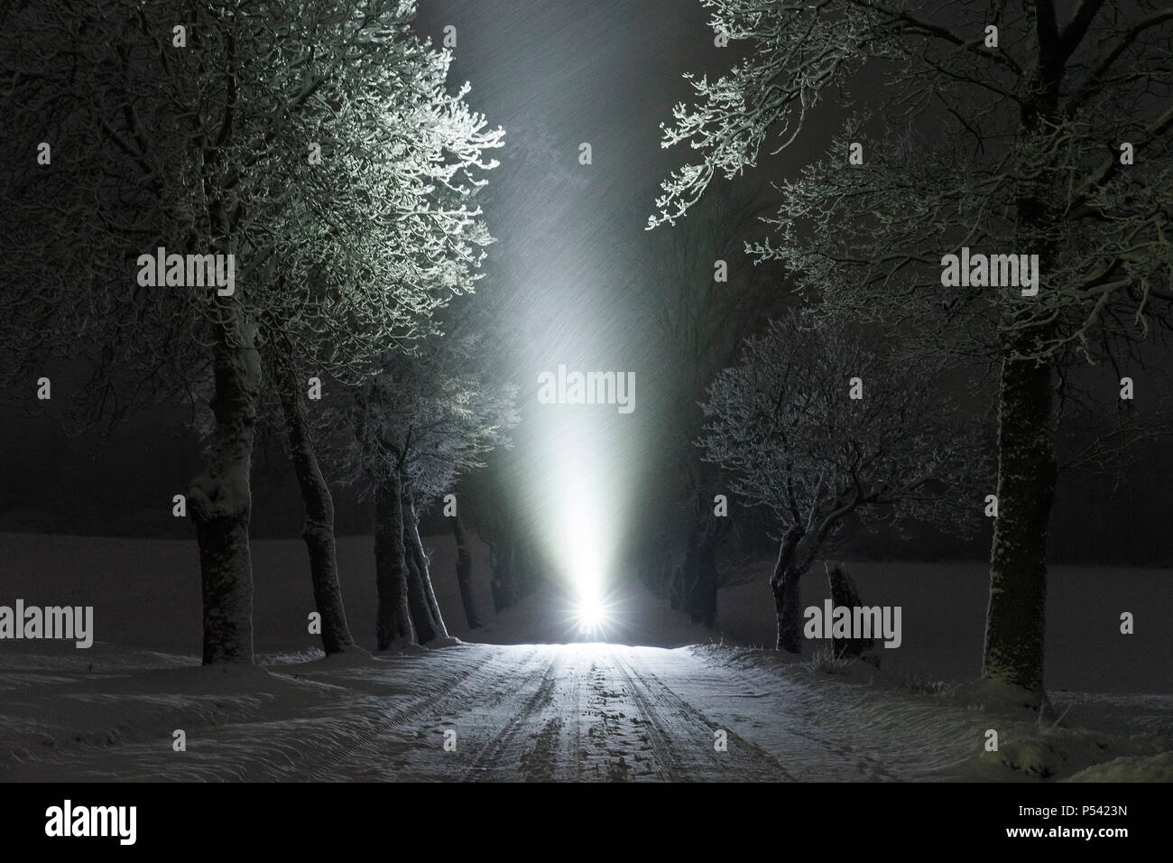 Menschliche glänzend mit Taschenlampe in der Nacht in Schweden Skandinavien  Europa. Dunkle abstrakt und mystische Bild der Mann mit der Fackel  Stockfotografie - Alamy