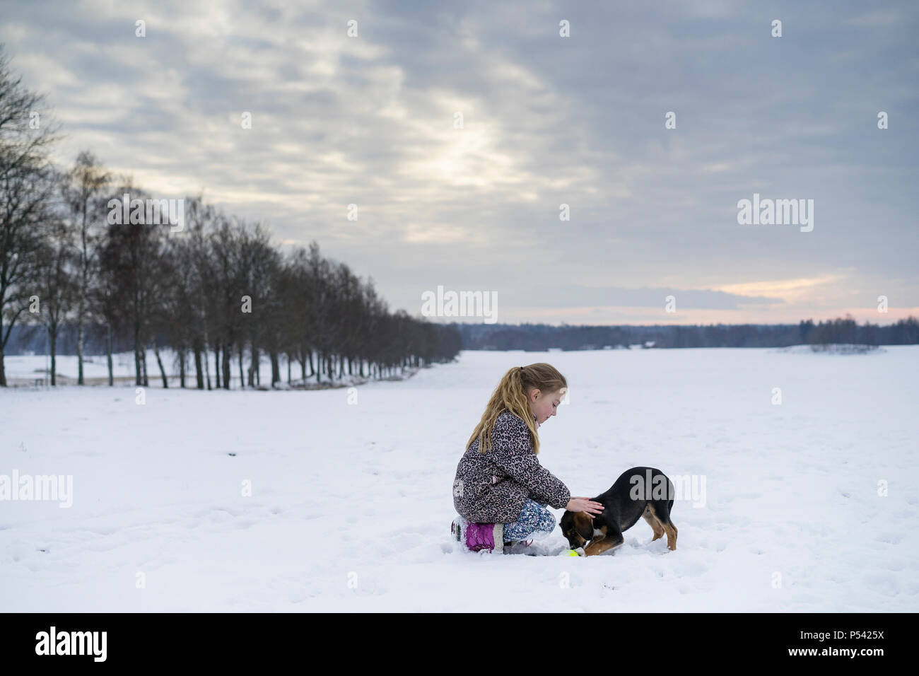 Kleine blonde kaukasischen Schwedische Mädchen spielen mit Hund im Winter Landschaft. Schönen kalten Abend bei Sonnenuntergang mit Schnee auf dem Feld und Lindenallee. Stockfoto