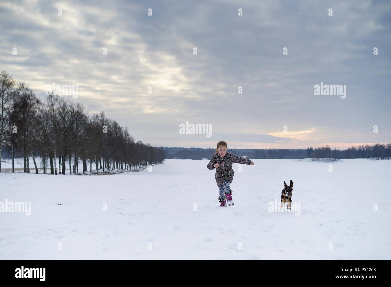 Kleine blonde kaukasischen Schwedische Mädchen spielen mit Hund im Winter Landschaft. Schönen kalten Abend bei Sonnenuntergang mit Schnee auf dem Feld und Lindenallee. Stockfoto