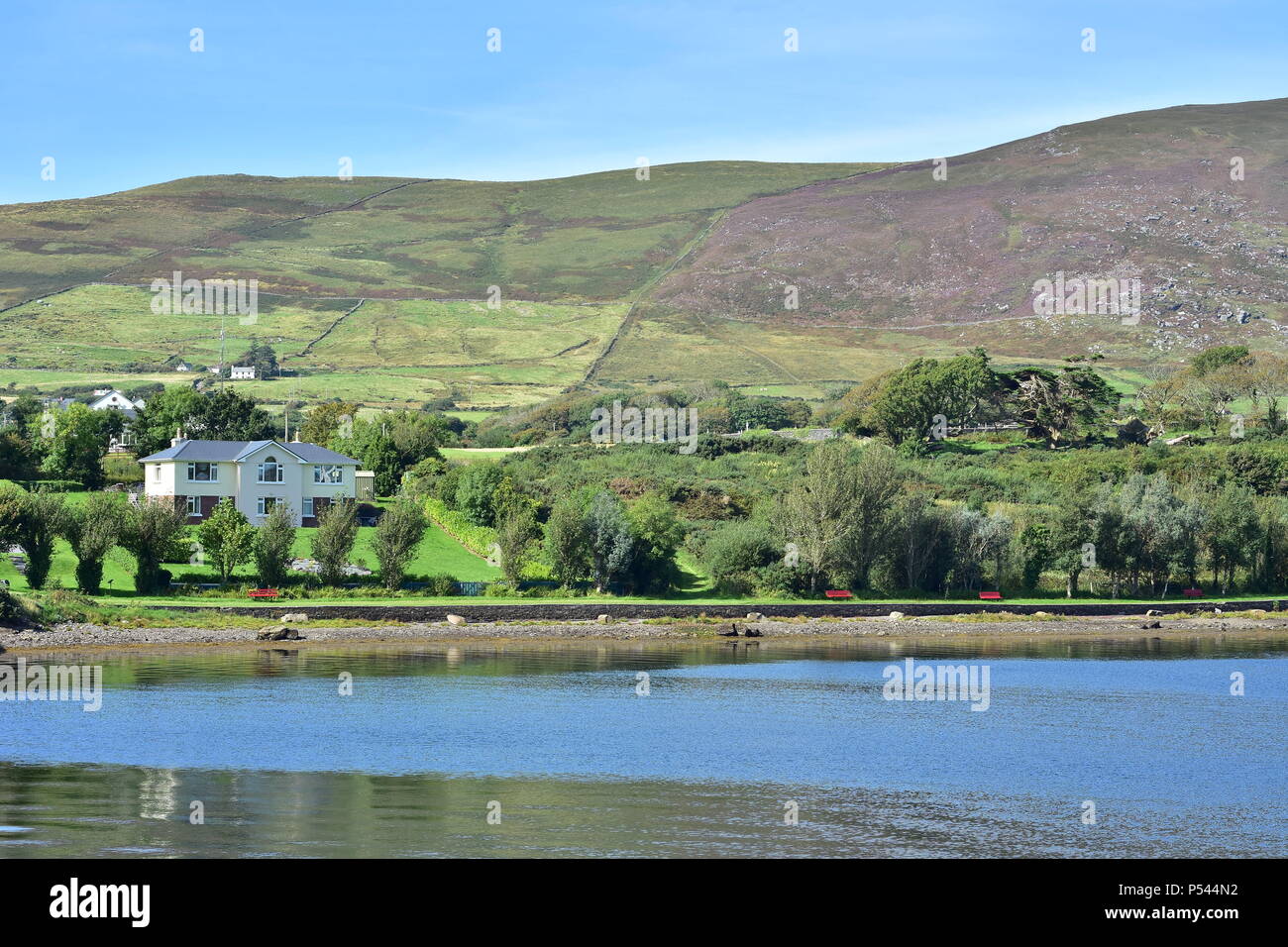 Ufer des Lough Currane in West Irland bedeckt mit grünen mit Hügel im Hintergrund. Stockfoto