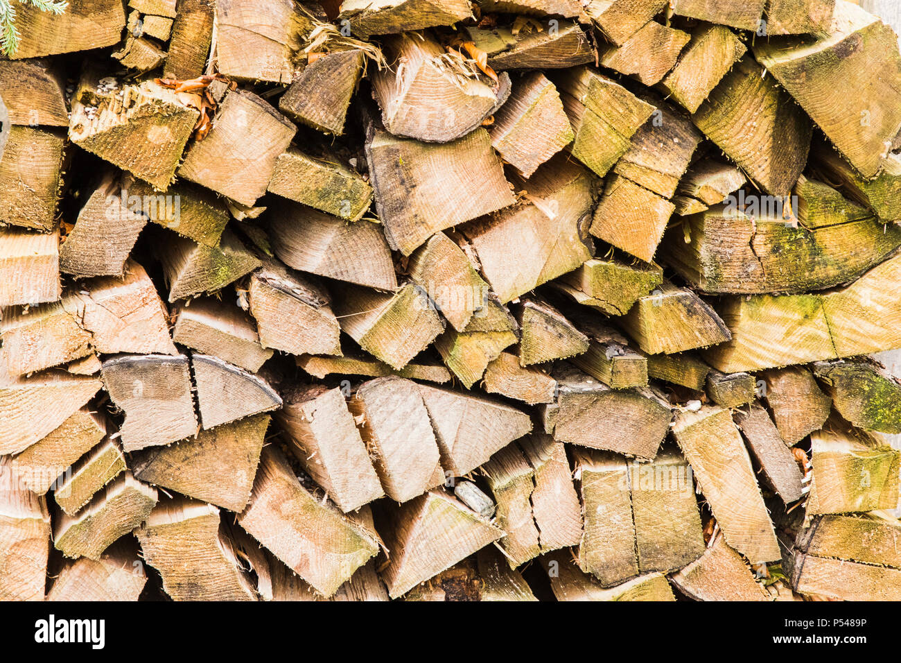 Logs Holz als Hintergrund und natürliche Textur Stockfoto